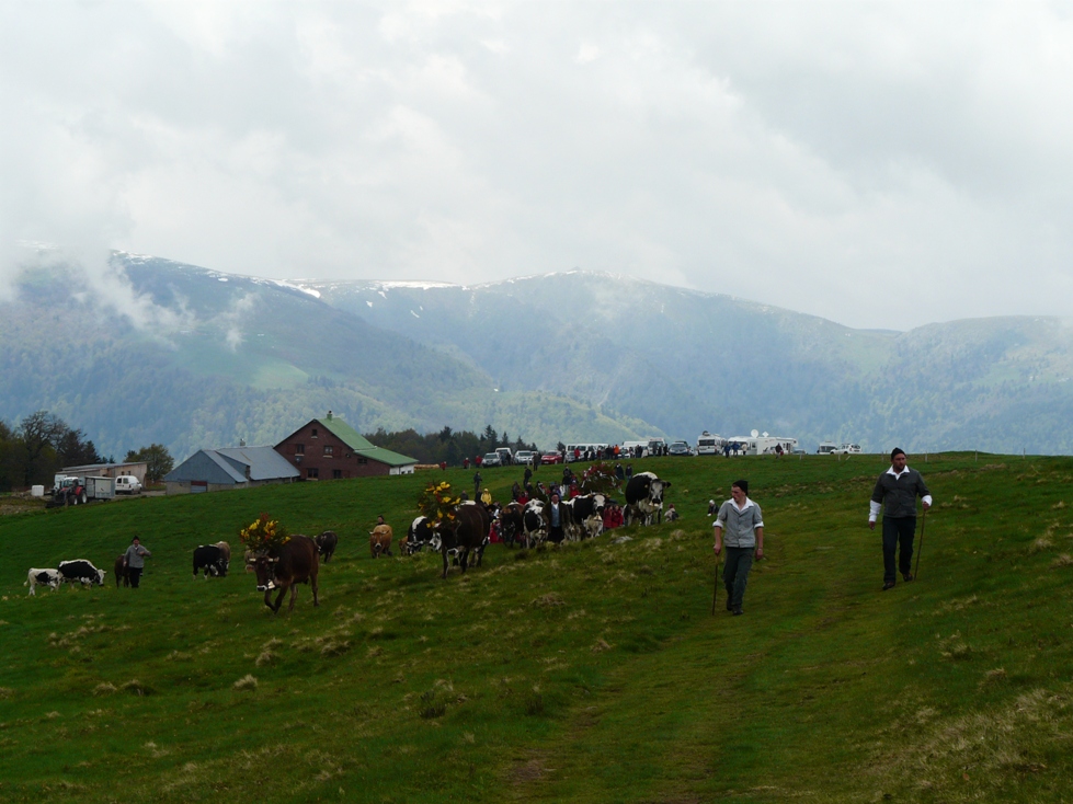 transhumance markstein